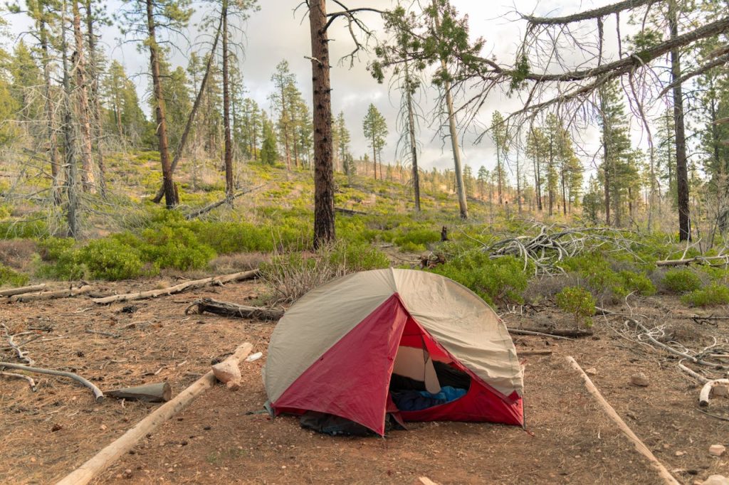 pexels-photo-31887460 Free stock photo of adventure, amazing, backcountry